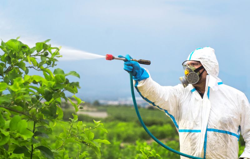 Commercial Fumigation in Toledo, OH