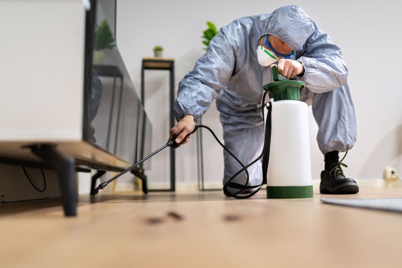 Outdoor Pest Control Service in Katy, TX