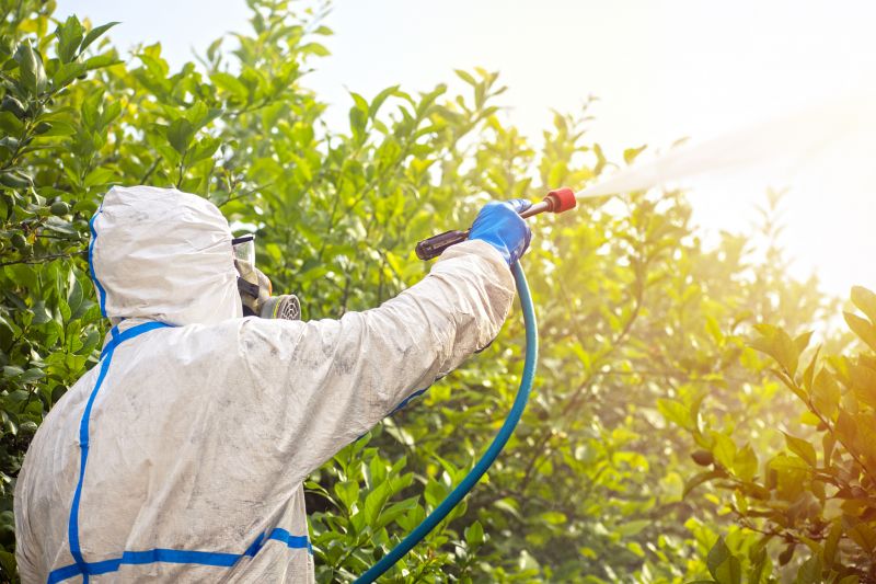 Pest Fumigation Service in Naperville, IL