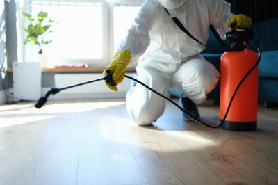 Trapdoor Spider Extermination in Katy, TX